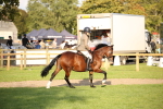 SBM_54324