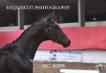 JAC_6289