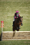 BVHT 140517  IXC -247