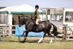 SBM_17863
