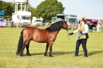 SBM_00611