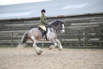 SBM_008097