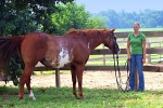 Haleys Horse_018