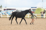 SBM_07910