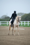 SBM_003351