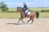 BPP_4433