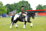 SBM_00882