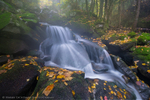 Brookside Autumn