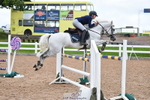 Cls 6 Foxhunter & 1.10m Open portfolio