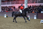 SBM_004494