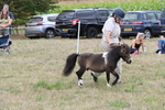 WJ6_5694