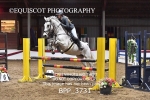 BPP_3731