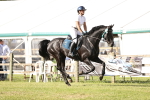 SBM_09990