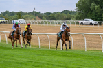 170826-Race 2-Harrys Pop-9162