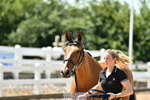 Trot Up 1pm to 2pm portfolio