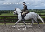 JAC_3061