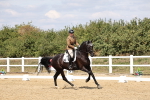 SBM_018697
