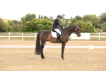 SBM_000808
