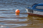 Ripples, Aberdyfi