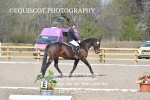 BPP_8727