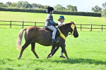 S18 - Novice & Newcomer Lead Rein Pony portfolio