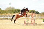 SBM_002200