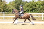 SBM_005493