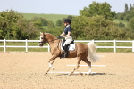 SBM_010283