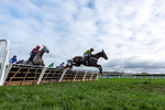 161125-Race 1-Gaelic Pride-2907