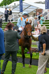 160524-Race 1-Clarendon House-5253