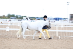 SBM_04990