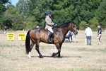 WJ7_3413