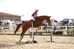 SBM_003353