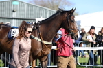 Race 6: Maiden (NWFAA) portfolio