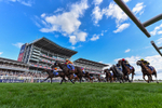 220826-Race 5-Sondad-6178