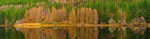Panorama portfolio