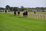 260826-Race 3-Battenburg Belle-2599