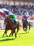 240726-Race 5-Zooella-01653
