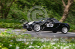 GMCCC Hill Climb_18-04-2022_CAR-155