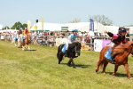 SBM_17293