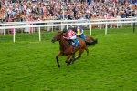 270724-Race 6-Ziggy-7528