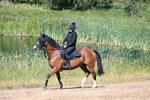 WJ7_7815