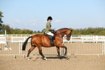 SBM_02217
