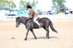 SBM_01904