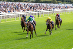 190826-Race 2-Haffner-0199