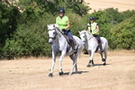 WJ6_8889