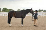 SBM_07670