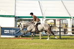 Class 117-119 - Sport Horse Working Hunter portfolio