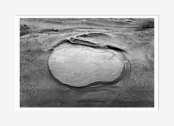 Emergent Rock. Shore Acres OR (2010/5707)