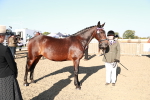 SBM_00070